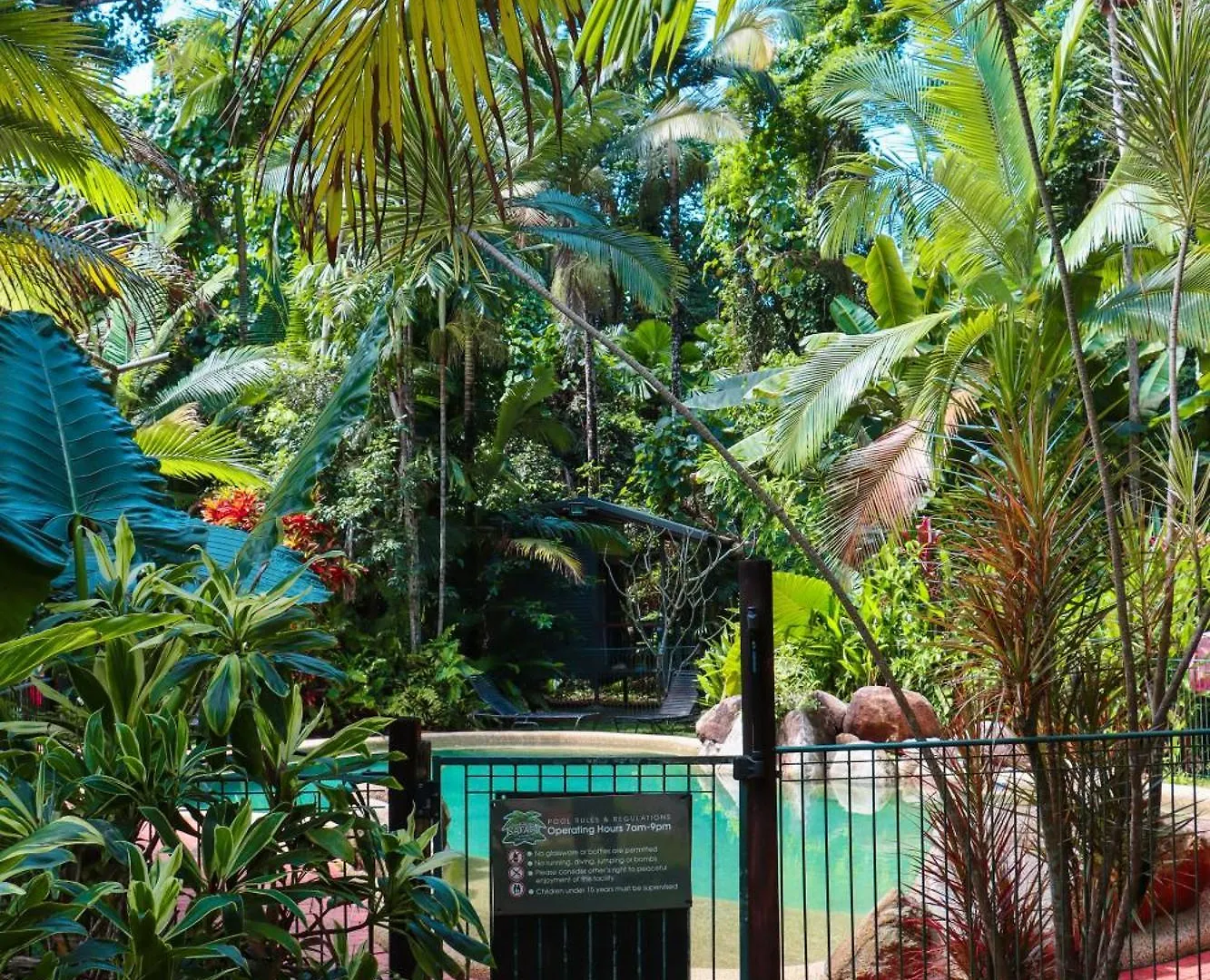 Safari Lodge Cape Tribulation Australia