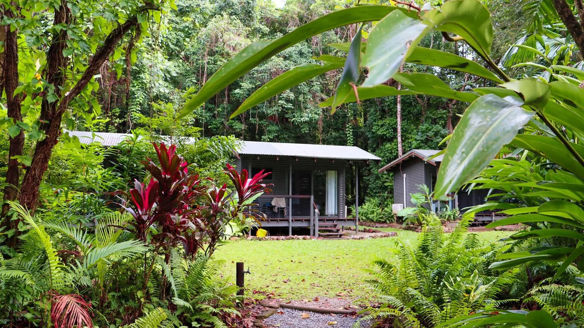 Safari Lodge Cape Tribulation